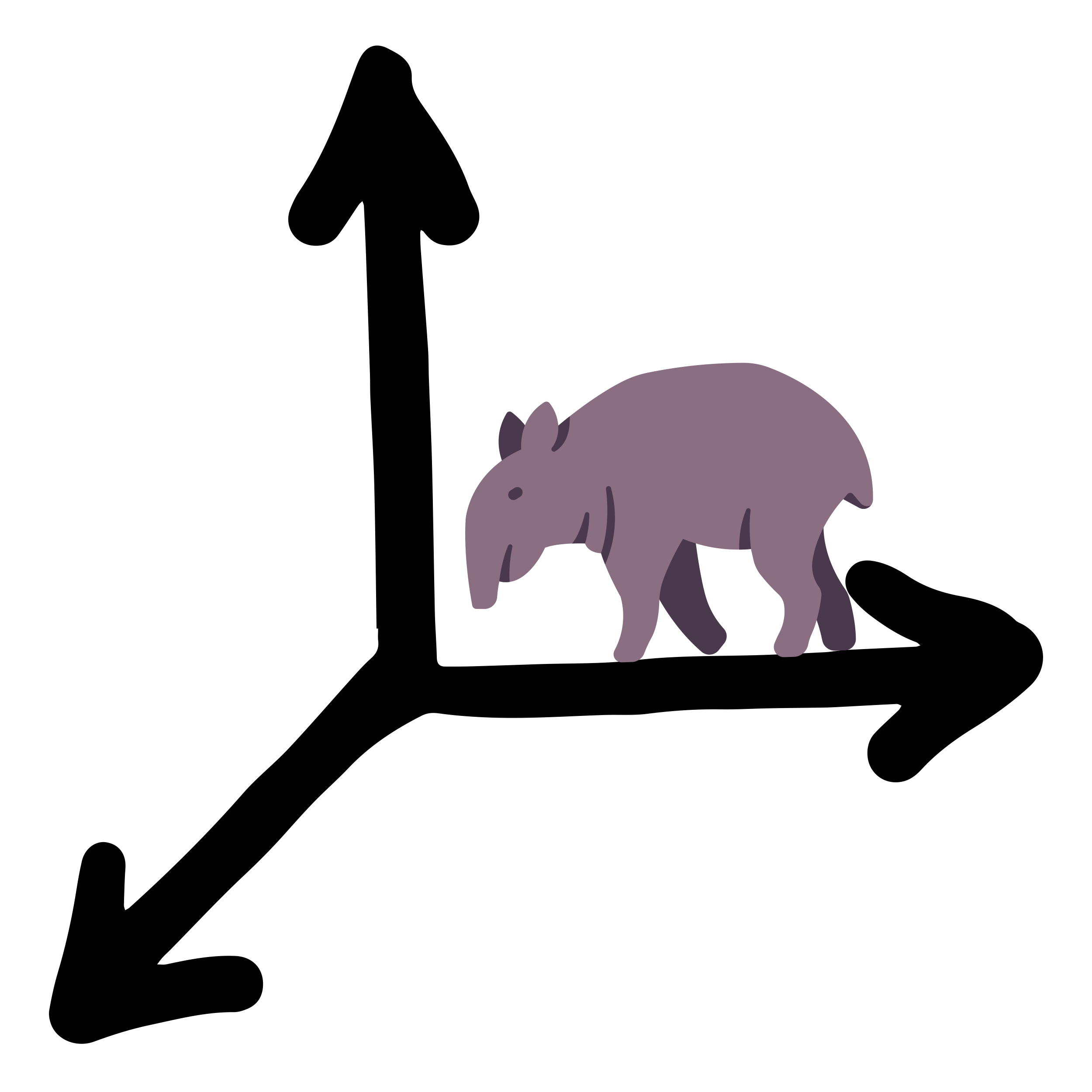 KoordináTapír, a tapír fő képe.